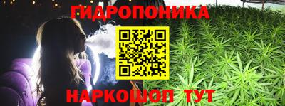 сатива Абакан