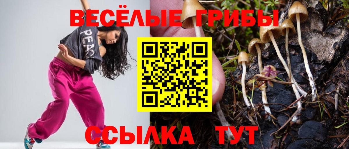 Апатиты  Псилоцибиновые грибы Magic Shrooms  где купить наркотик  Вход с VPN 
