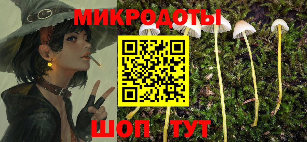 купить наркоту  Псилоцибиновые грибы прущие грибы  Вход с VPN  Апатиты 